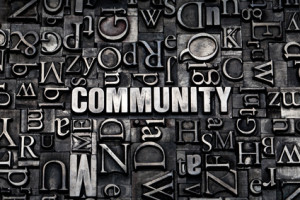 Community Manager